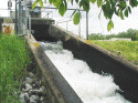 Clean Effluent Released
