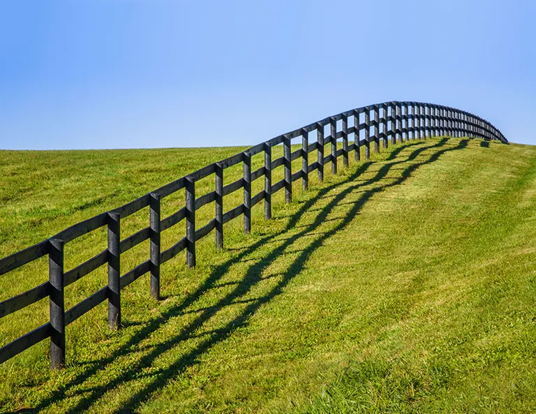 October's Beautification Award